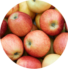 Apple fiber